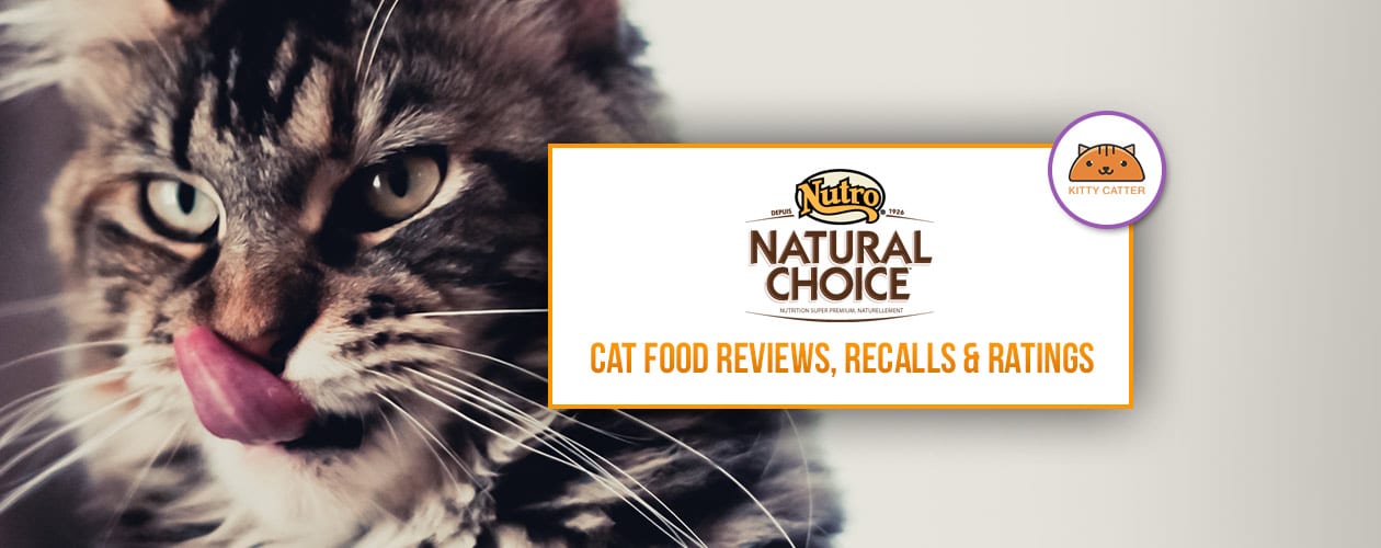 Natural Choice Cat & Kitten Food Coupons, Review & Recalls 2021