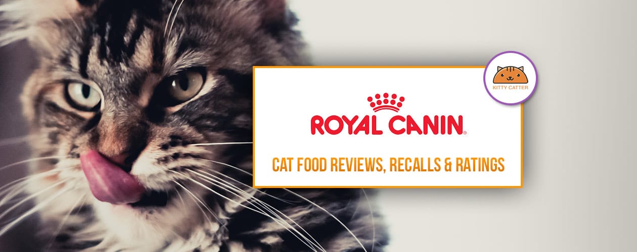 royal canin recovery rs cat food
