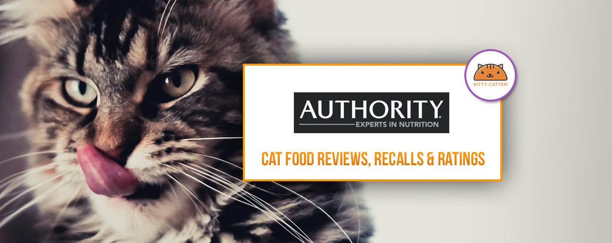Authority Cat & Kitten Food Coupons, Review & Recalls 2021
