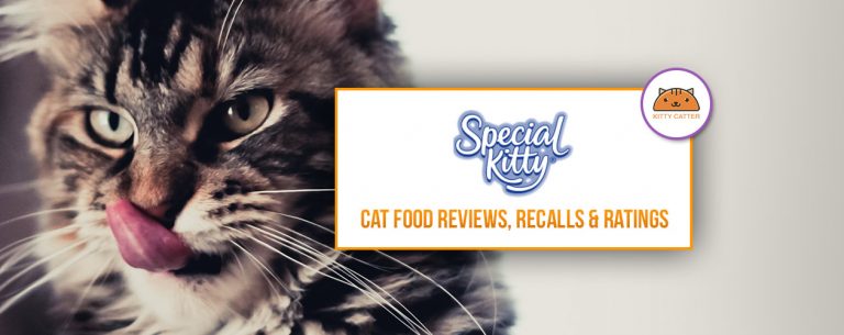 Special Kitty (Walmart) Cat Food Review