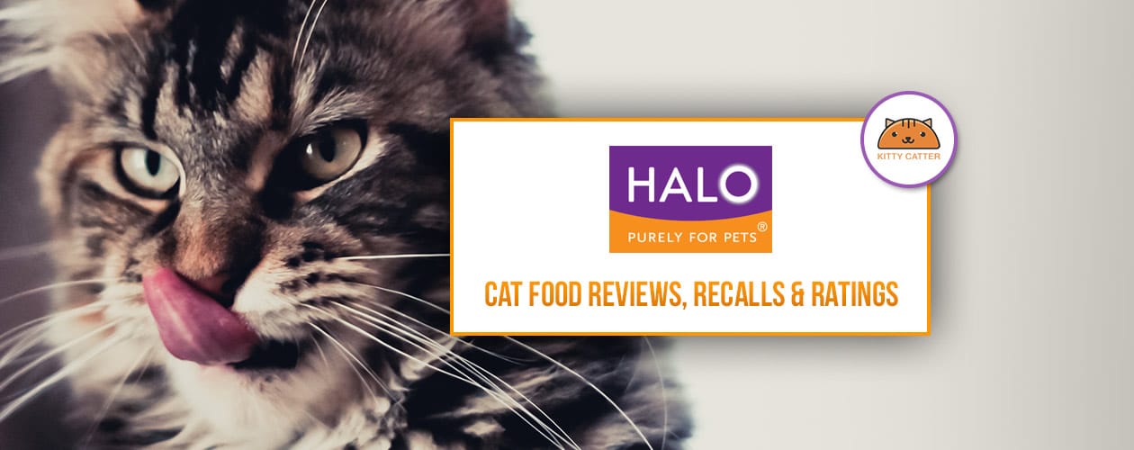 Halo Cat & Kitten Food Coupons, Review & Recalls 2021
