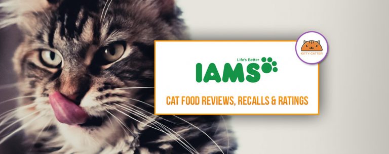 Iams Cat Food Review