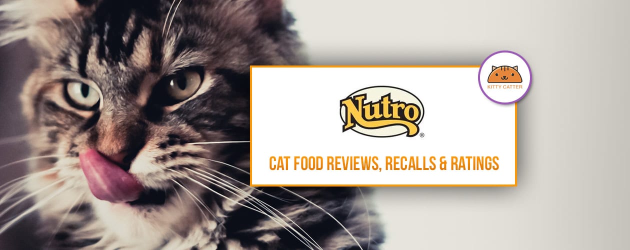 Did Nutro dog food get recalled?