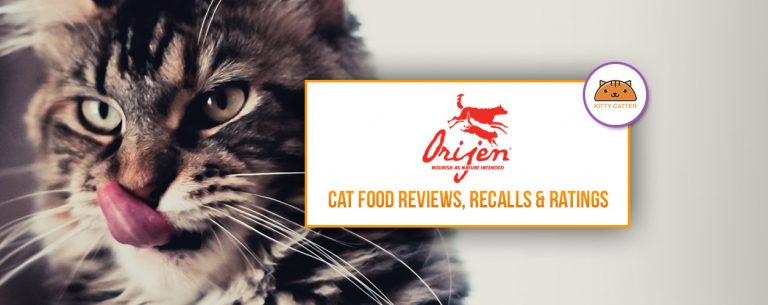 Orijen Cat Food Review
