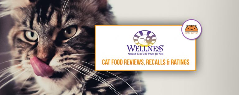 Wellness Cat Food Review