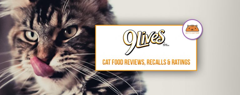 9 Lives Cat Food Review