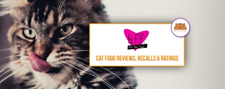 Best Feline Friend (BFF) Cat Food Review