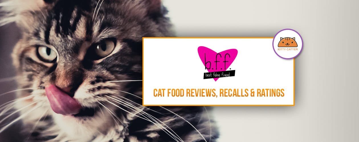 BFF Cat & Kitten Food Coupons, Review & Recalls 2021