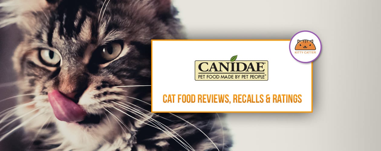 Canidae Cat & Kitten Food Coupons, Review & Recalls 2021
