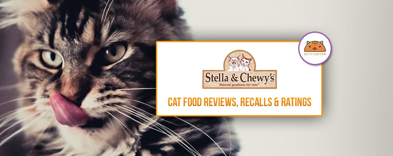 stella & chewy cat food