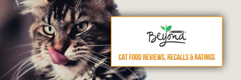 Purina Beyond Cat Food Review
