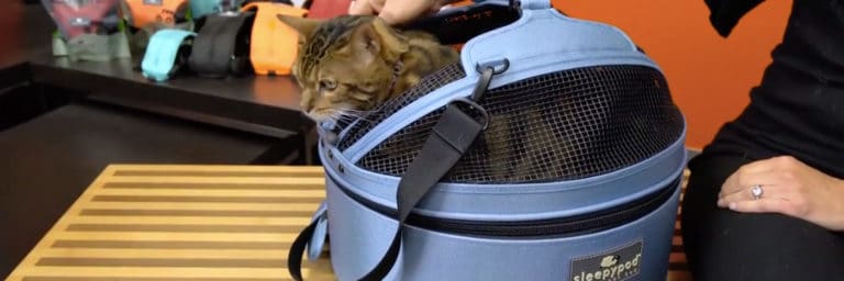 Best Cat Carriers – Top 5 Crates, Bags & Packs For Traveling With Your Cat