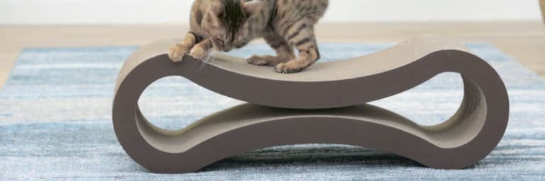 Top 5 Best Scratchers and Scratching Posts for Your Cat