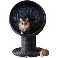 The Refined Feline Kitty Ball Cat Bed