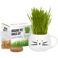 The Cat Ladies 100% Organic Cat Grass Kit