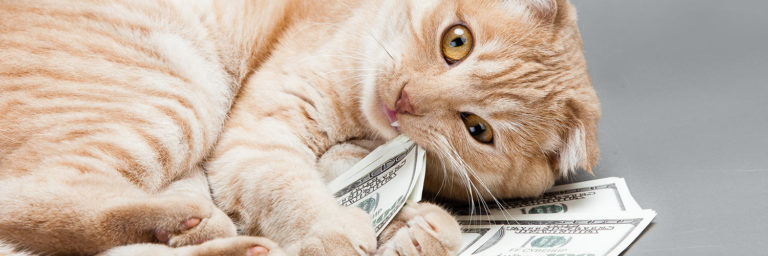 Cat Litter Coupons – 2023 Savings on Kitty Litter