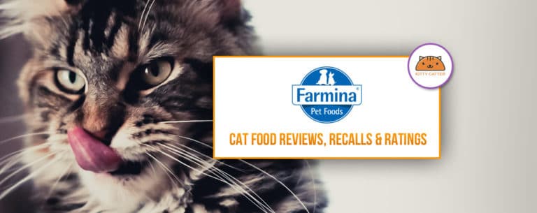 Farmina Cat Food Review