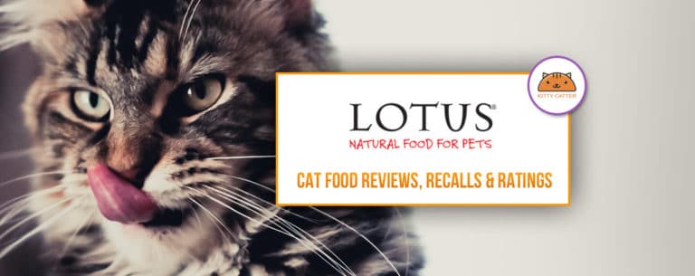 Lotus Cat Food Review