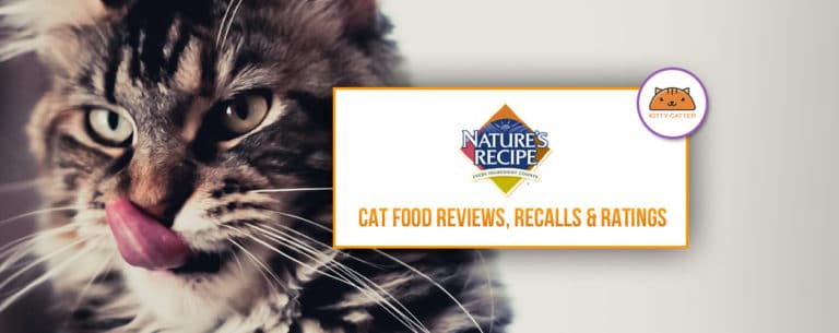 Nature’s Recipe Cat Food Review