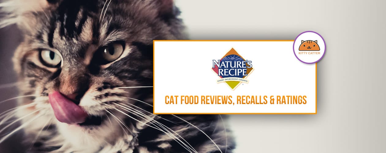 nature's recipe cat food