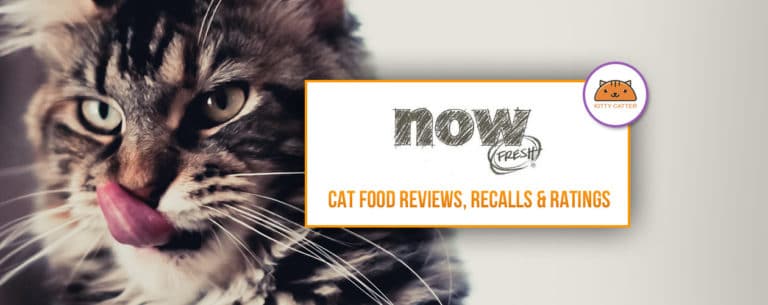 Now Fresh Cat Food Review