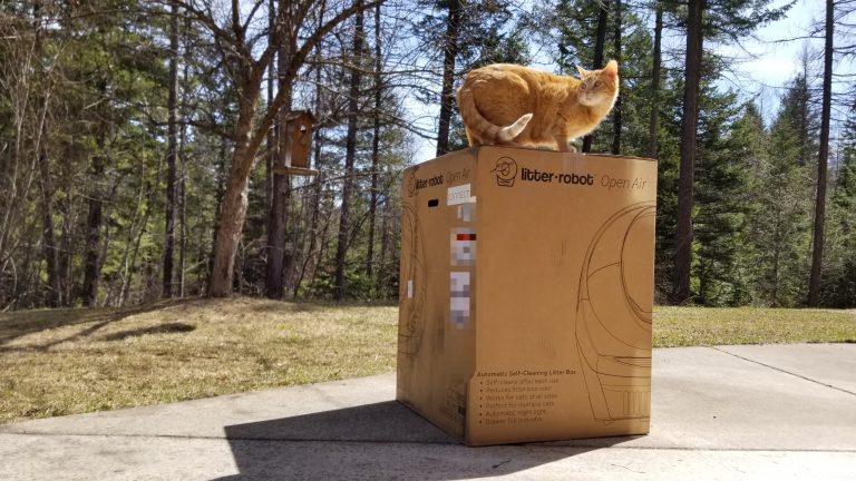 Litter Robot Review – We Tried the Open Air III and…