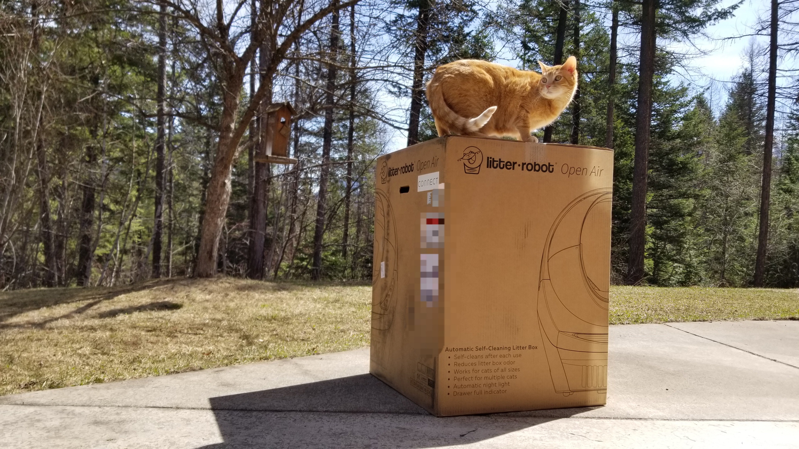 litter robot iii open air automatic cat litter box