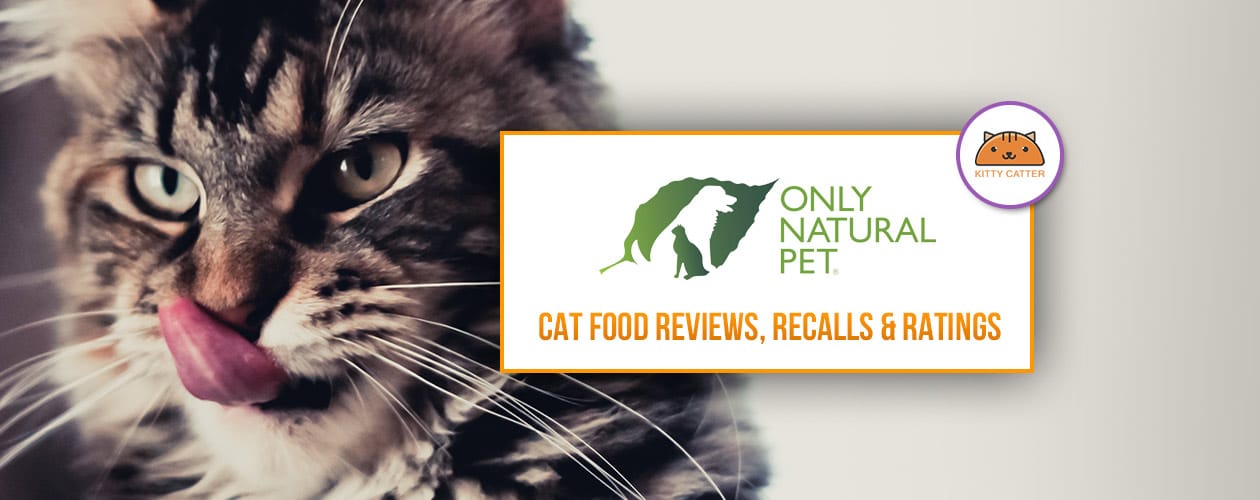 only natural pet cat food