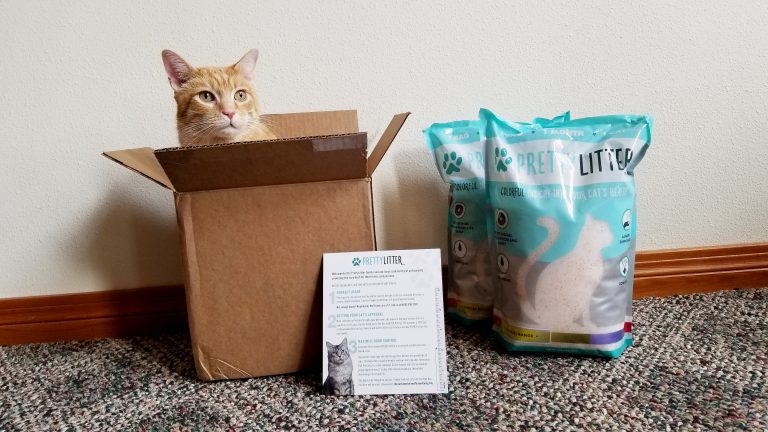 Pretty Litter Review – We Tried This Subscription Cat Litter for 2 Weeks and…