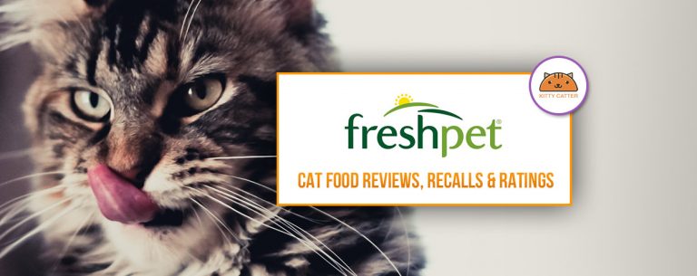 FreshPet Cat Food Review
