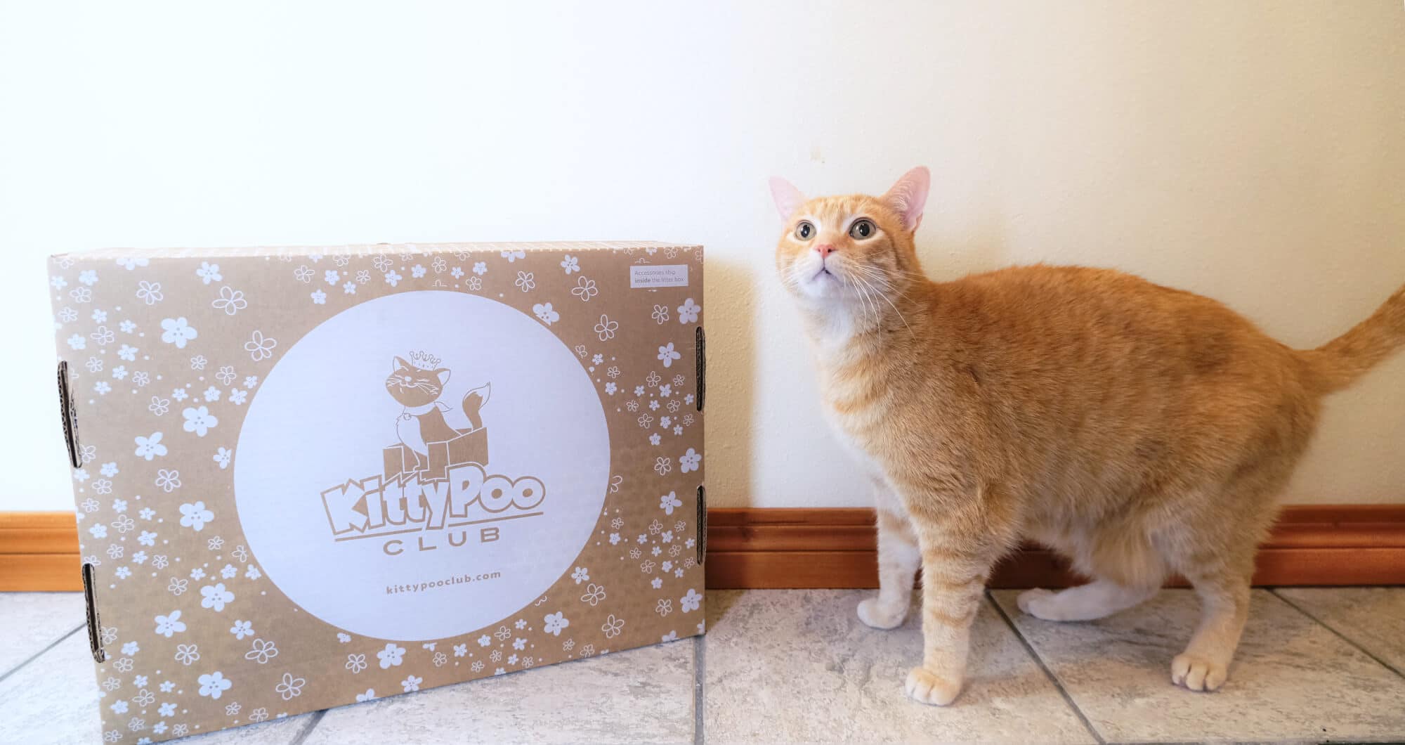 Kitty Poo Club Subscription Cat Litter Review We Tried it...Here's