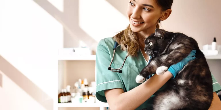 6 Signs You Should Take Your Cat To The Vet